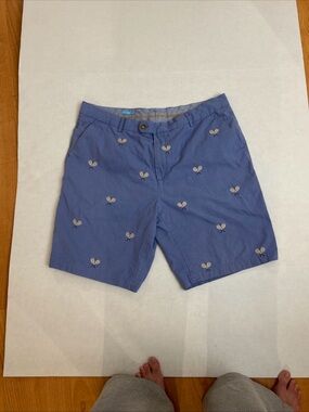 J. McLaughlin Blue Embroidered Cotton Flat-Front Shorts